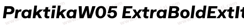 PraktikaW05 ExtraBoldExtIt字体转换